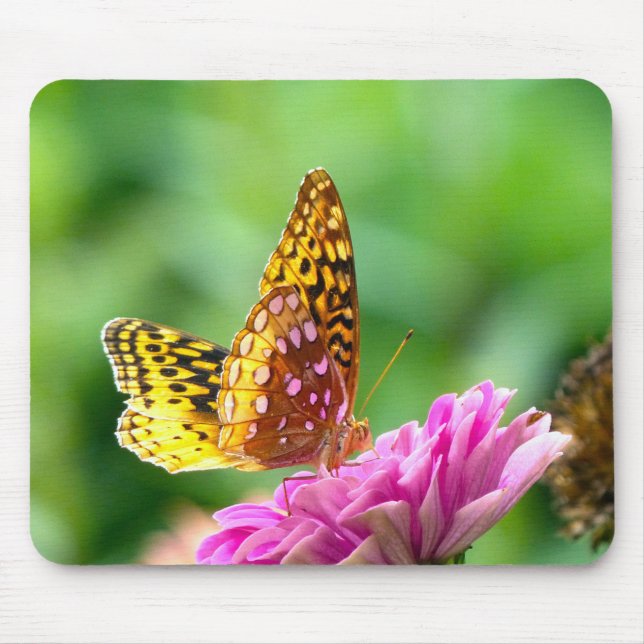 Great Spangled Fritillary Butterfly Mouse Pad (Front)