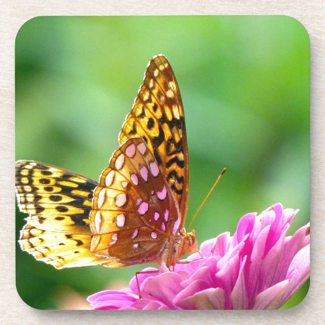 Great Spangled Fritillary Coaster (Front)