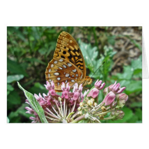 Great Spangled Fritillary Coordinating Items