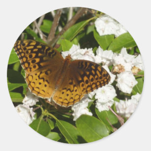 Great Spangled Fritillary on Mountain Laurel Classic Round Sticker
