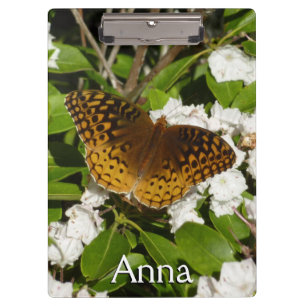 Great Spangled Fritillary on Mountain Laurel Clipboard