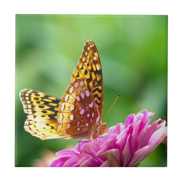 Great Spangled Fritillary Tile (Front)