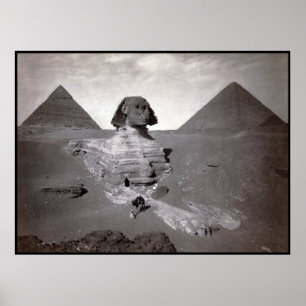 Great Sphinx of Giza Excavation with Pyramids Poster