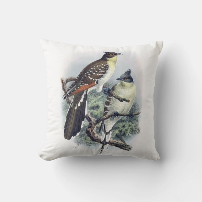 Great Spotted Cuckoo Bird Pillow (Front)