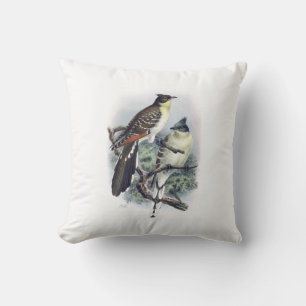 Great Spotted Cuckoo Bird Pillow