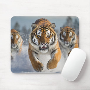 Great Tiger Mouse Pad! Pad
