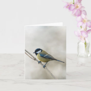 Great tit bird, minimalist winter nature card