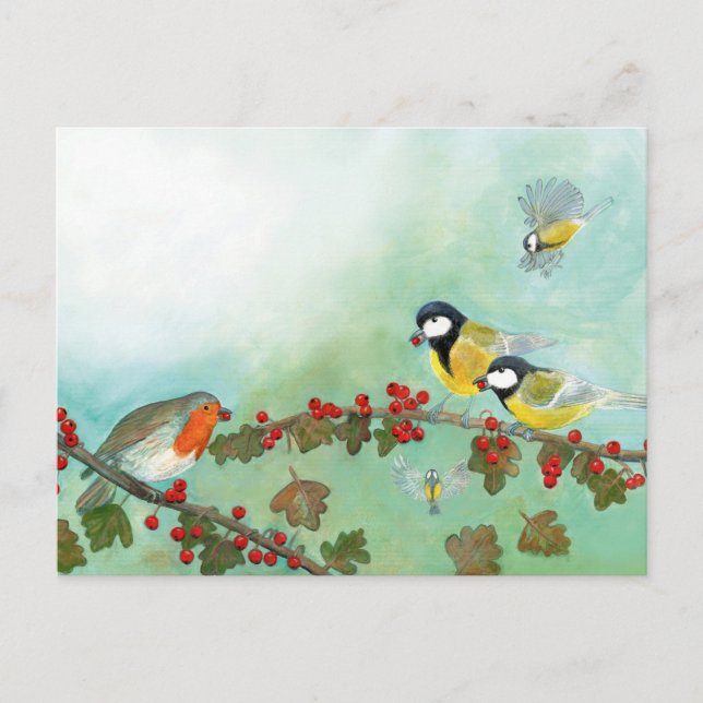 Great Tit Birds, Red Robin & Hawthorn Berries   Holiday Postcard (Front)