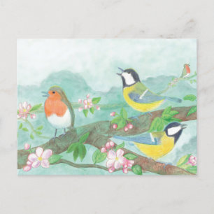 Great Tit Birds Singing on a Blossoming Tree Postcard