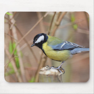 great tit, branch, feeding mouse pad
