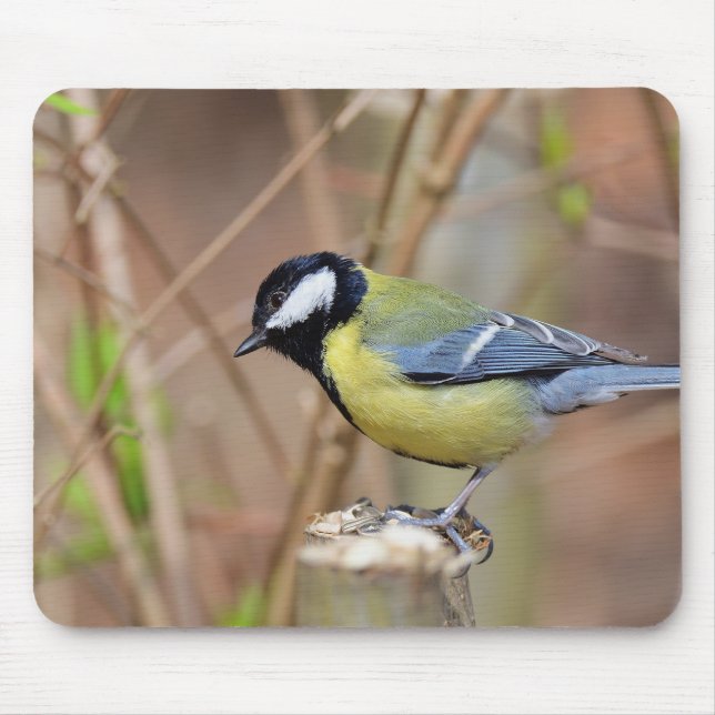 great tit, branch, feeding mouse pad (Front)