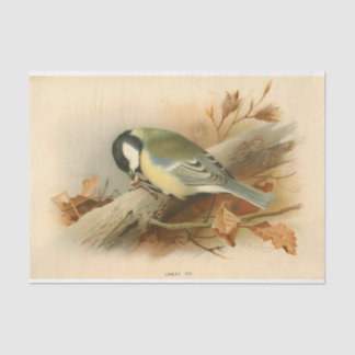 Great Tit by Lord Lilford, Illustration Tissue Paper