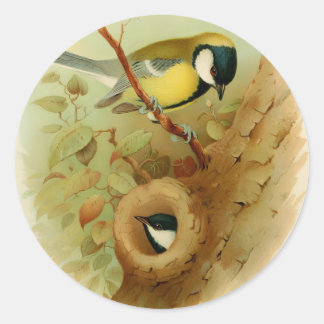 Great tit- Colourful bird, Art Classic Round Sticker