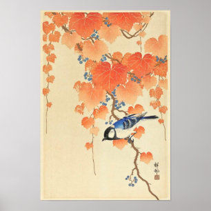 Great tit on paulownia branch - Ohara Koson Poster