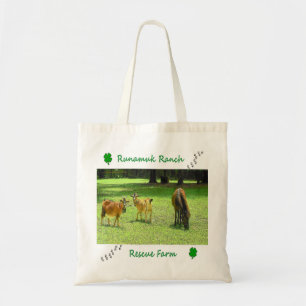 Great Tote Bag on a budget