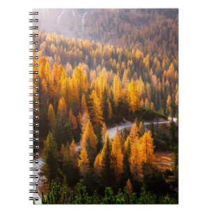 Great view of winding road. Dramatic and gorgeous Notebook