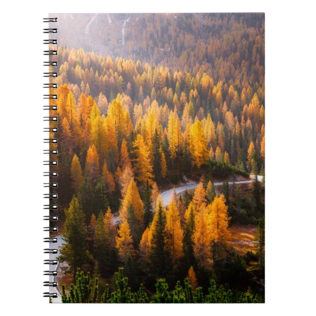 Great view of winding road. Dramatic and gorgeous  Notebook (Front)