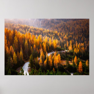 Great view of winding road. Dramatic and gorgeous  Poster