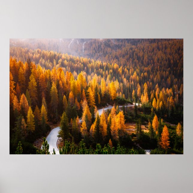 Great view of winding road. Dramatic and gorgeous  Poster (Front)