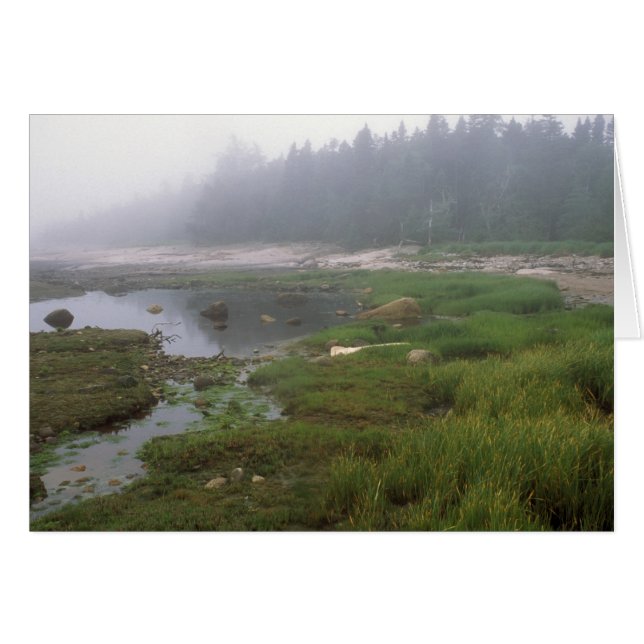 Great Wass Island Maine (Front Horizontal)