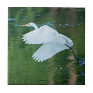 Great White Egret Ceramic Tile