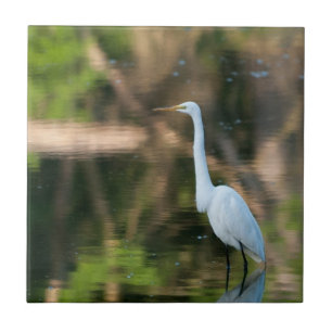Great White Egret Ceramic Tile