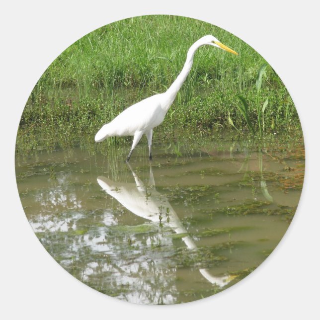 Great White Egret Classic Round Sticker (Front)