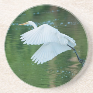 Great White Egret Coaster