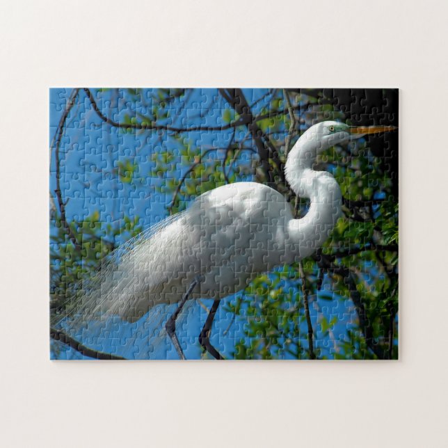 Great White Egret Florida. Jigsaw Puzzle (Horizontal)