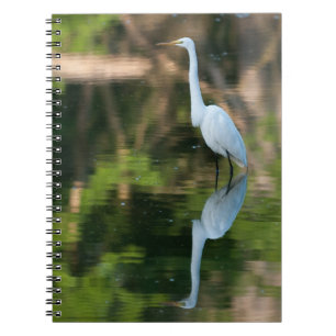 Great White Egret Notebook