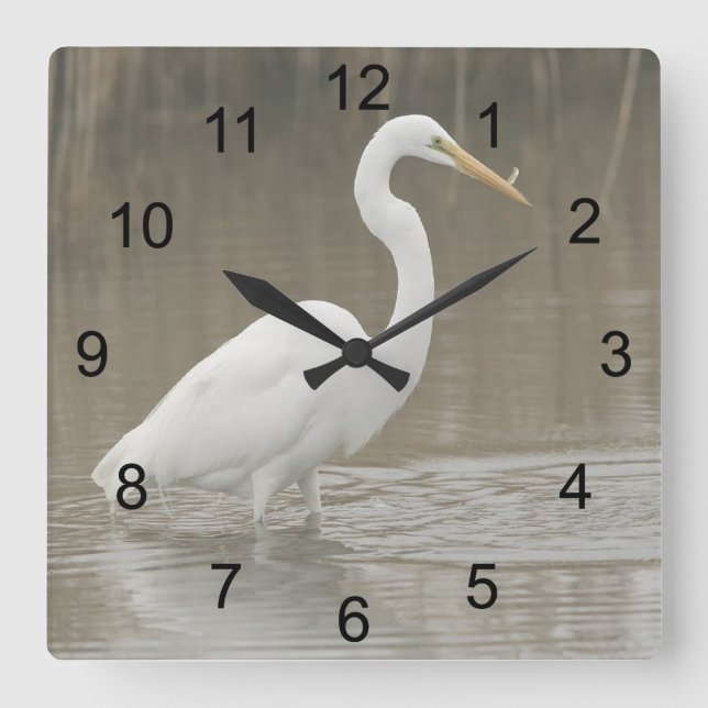 Great White Egret Square Wall Clock (Front)