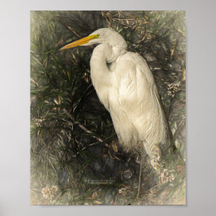 Great White Egret Water Bird Digital Art Painting  Poster