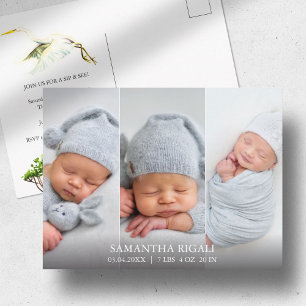 Great White Heron 3 Photo Birth Announcements Postcard