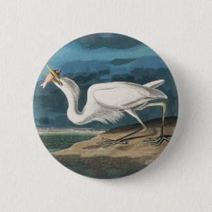 Great White Heron Audubon Bird Wildlife Painting 6 Cm Round Badge