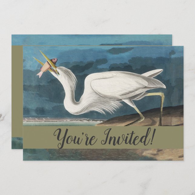 Great White Heron Audubon Bird Wildlife Painting Invitation (Front/Back)