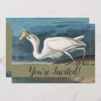 Great White Heron Audubon Bird Wildlife Painting