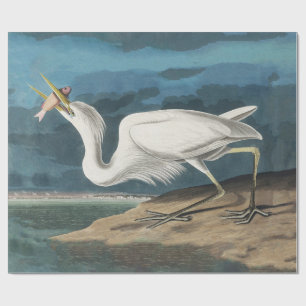 Great White Heron Audubon Bird Wildlife Painting Wrapping Paper