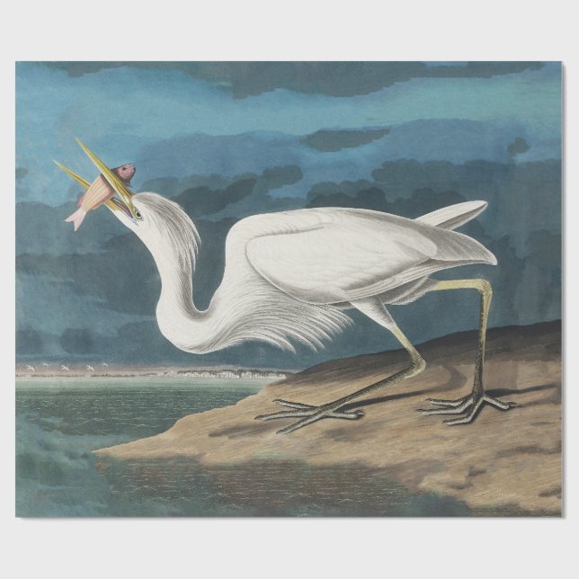 Great White Heron Audubon Bird Wildlife Painting Wrapping Paper (Flat)