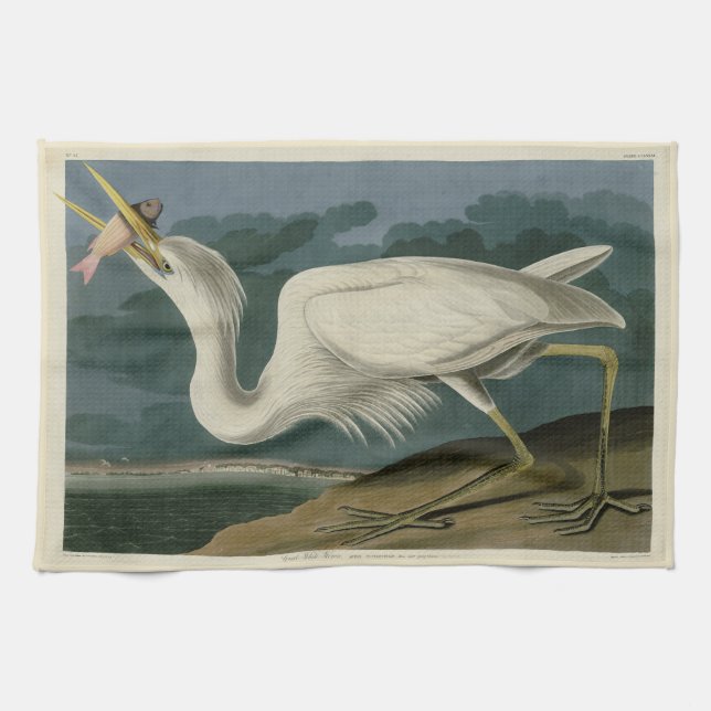 Great White Heron, from Audubon's Birds of America Tea Towel (Horizontal)