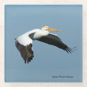 Great White Pelican glass coaster