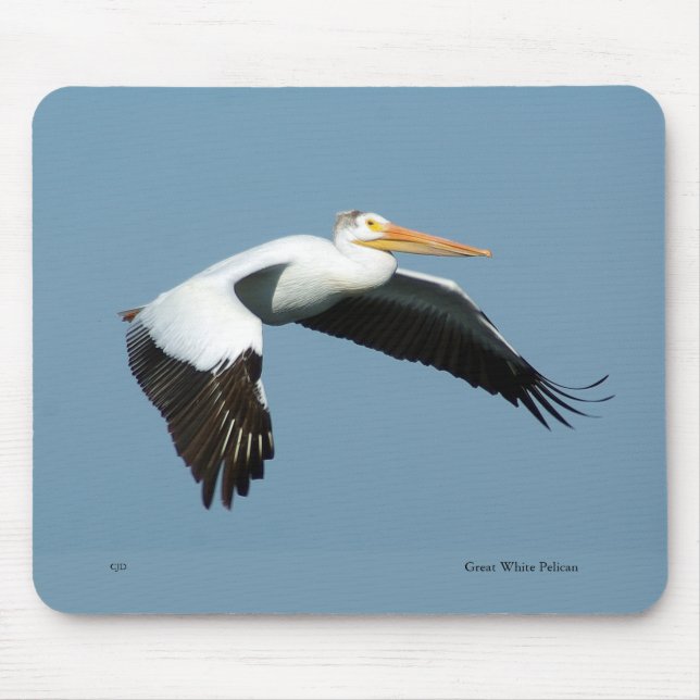 Great White Pelican mousepad (Front)