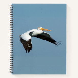 Great White Pelican notebook