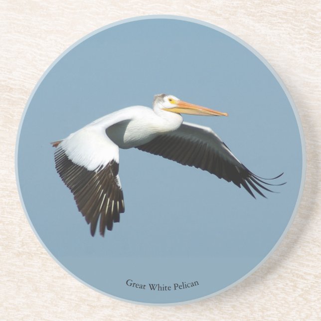 Great White Pelican sandstone coaster (Front)