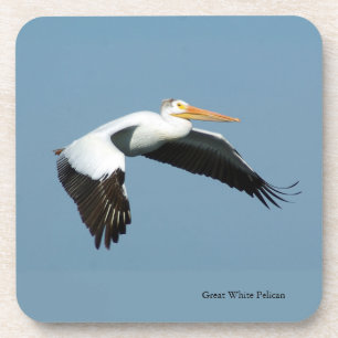 Great White Pelican set of 6 plastic coasters