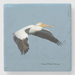 Great White Pelican stone coaster