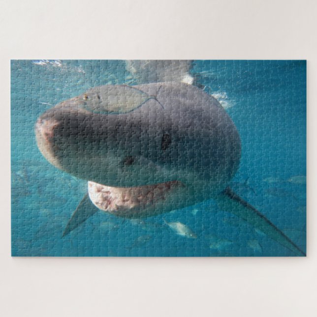 Great White Shark, 1014 pieces Jigsaw Puzzle (Horizontal)