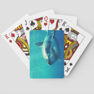 GREAT WHITE SHARK 1 PLAYING CARDS
