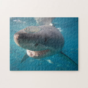 Great White Shark, 252 pieces Jigsaw Puzzle
