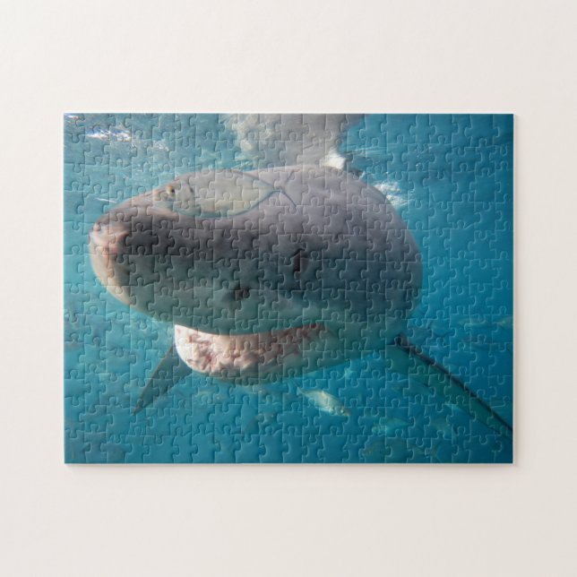 Great White Shark, 252 pieces Jigsaw Puzzle (Horizontal)