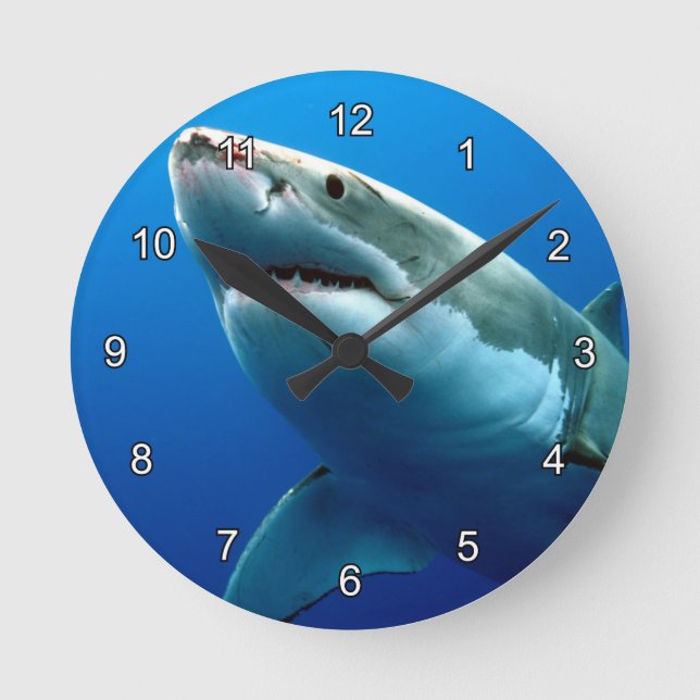 GREAT WHITE SHARK 3 ROUND CLOCK (Front)